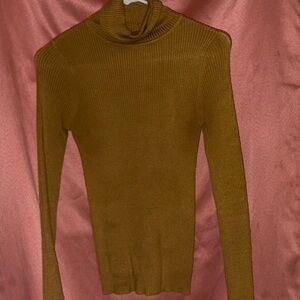 Ambiance Golden Turtleneck Sweater